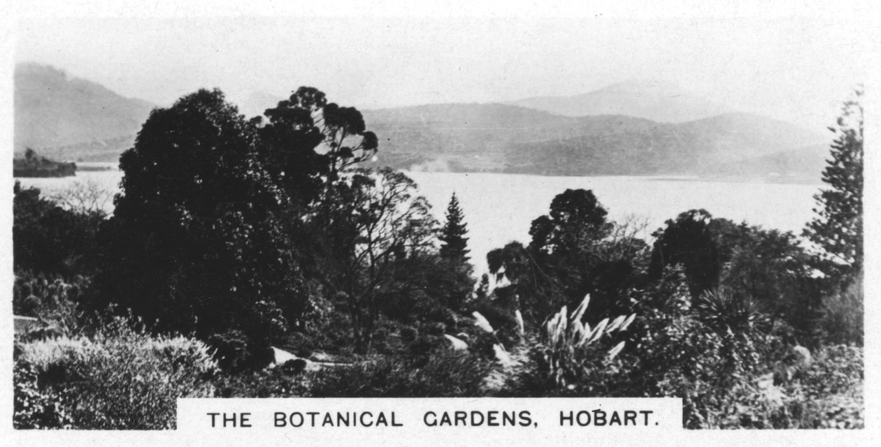 Kasvitieteellinen puutarha, Hobart, Tasmania, 1928 tekijältä Unbekannt