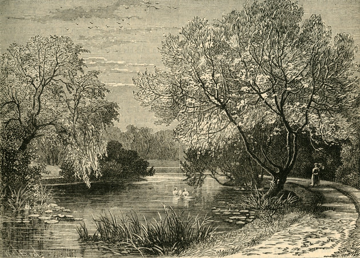Kasvitieteellinen puutarha, Regents Park, 1876. tekijältä Unbekannt