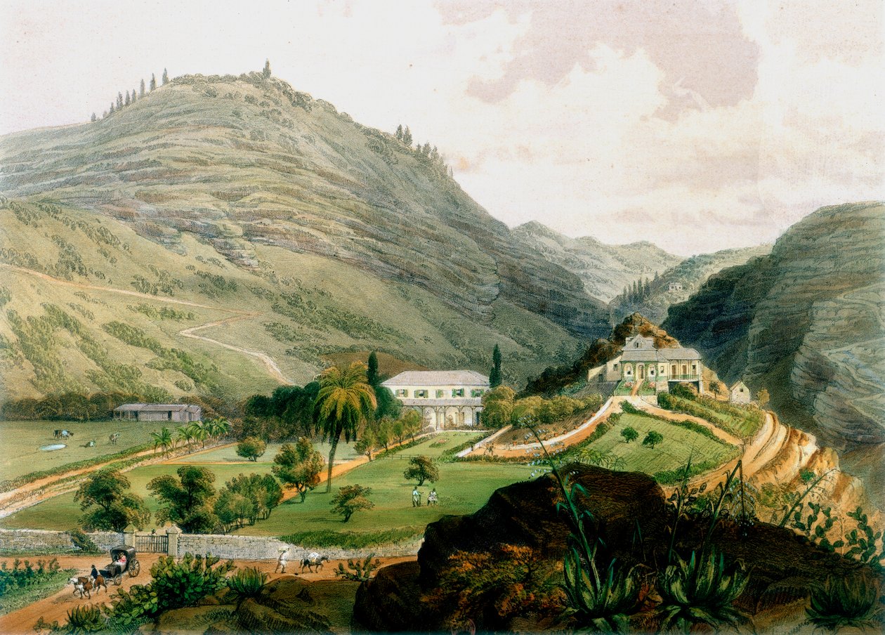 The Briars, St Helena, 1800-luvun alku 1851 tekijältä Unbekannt