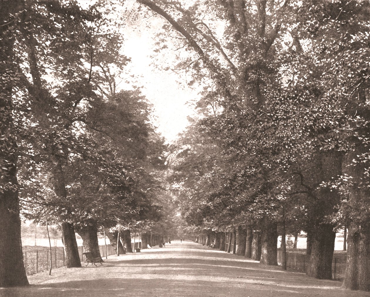 The Broad Walk, Oxford, 1894. tekijältä Unbekannt