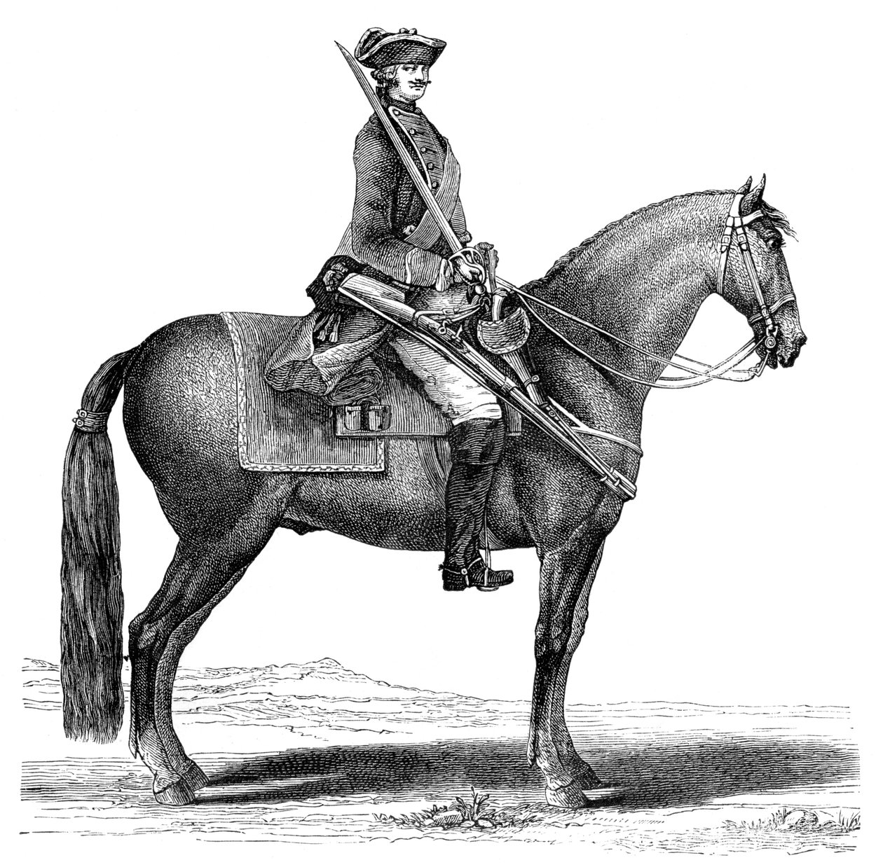 Kavalieri, 1885 tekijältä Unbekannt