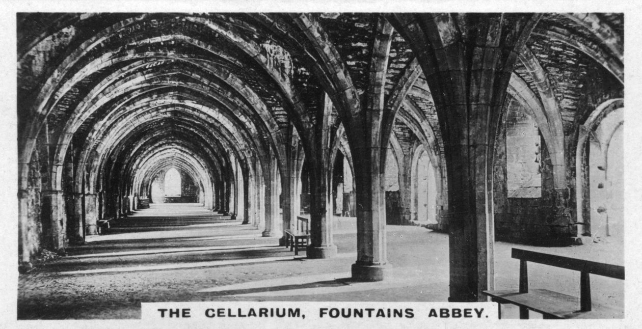The Cellarium, Fountains Abbey, Yorkshire, 1920-luku tekijältä Unbekannt