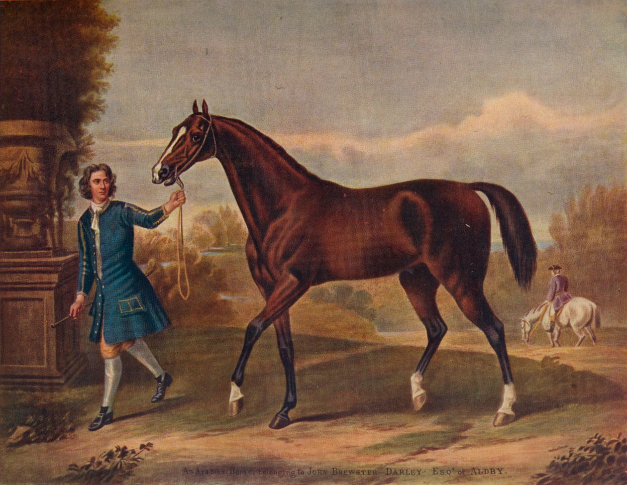 Darley Arabian, c1720, 1922 tekijältä Unbekannt