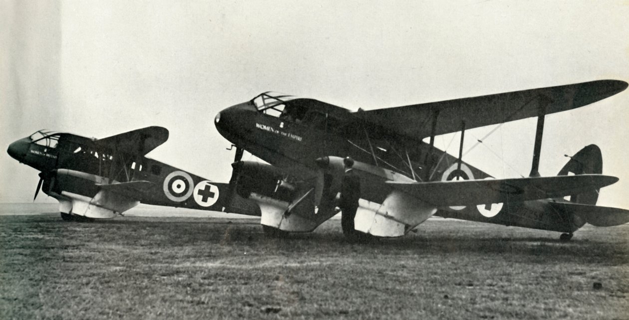 De Havillandin ambulanssi, 1941. tekijältä Unbekannt