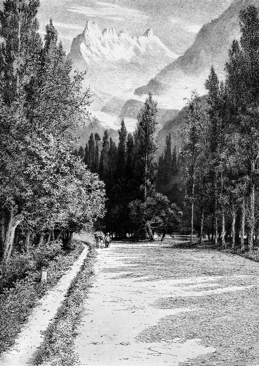 Dent du Midi Rhônen laaksosta, 1900 tekijältä Unbekannt
