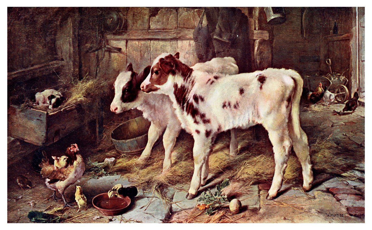 Koira seimessä, 1885 1901 tekijältä Unbekannt
