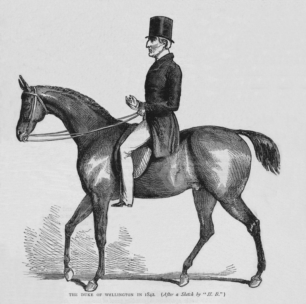 Wellingtonin herttua, n. 1842 1878 tekijältä Unbekannt