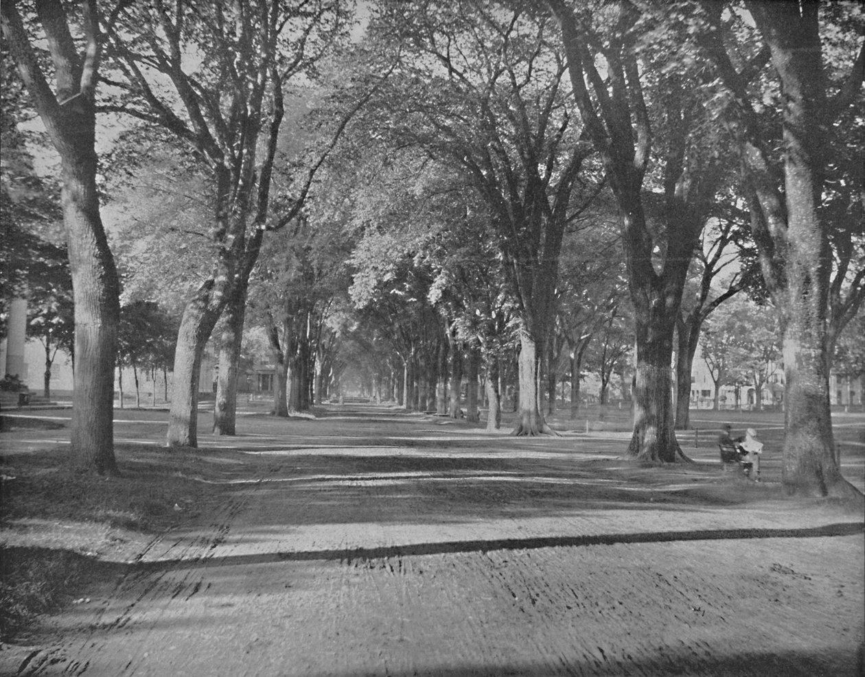 The Elms, New Haven, Conn., 1897. tekijältä Unbekannt