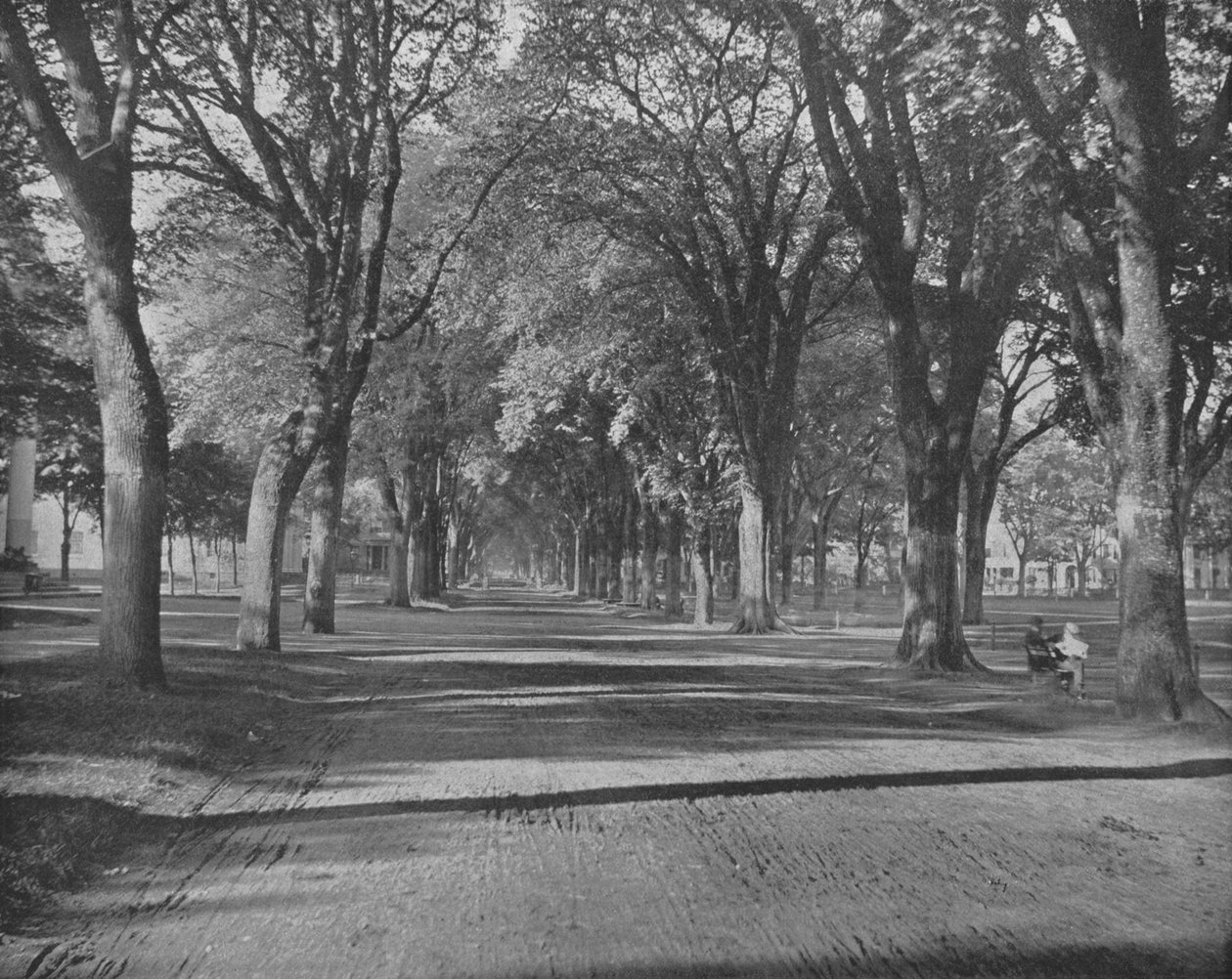 The Elms, New Haven, Connecticut, USA, c1900. tekijältä Unbekannt