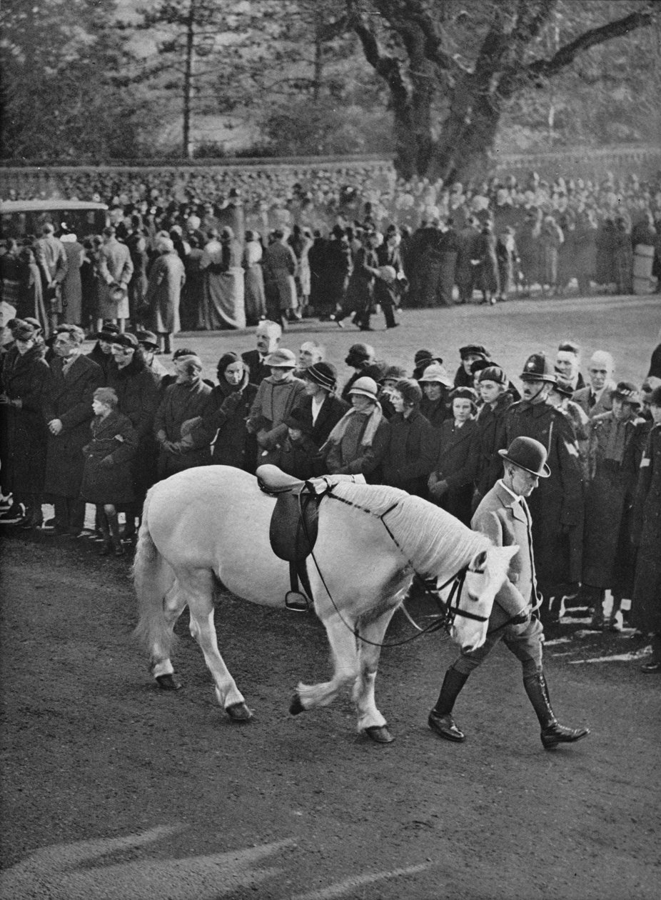 Tyhjä satula: King Georgesin valkoinen poni, Jock, johdettu kulkueessa, 1936 tekijältä Unbekannt