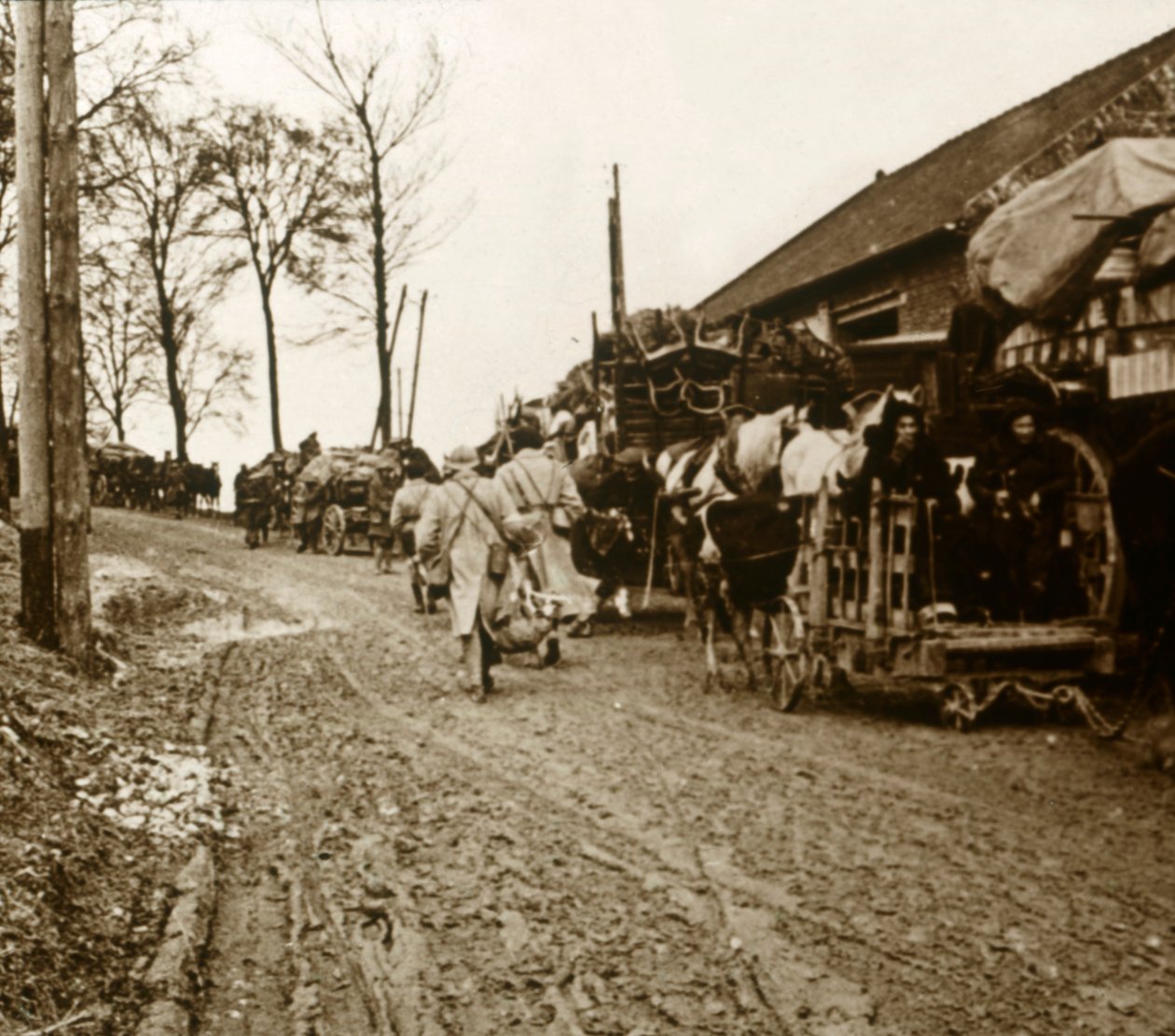 Exodus, 1914-1918 tekijältä Unbekannt