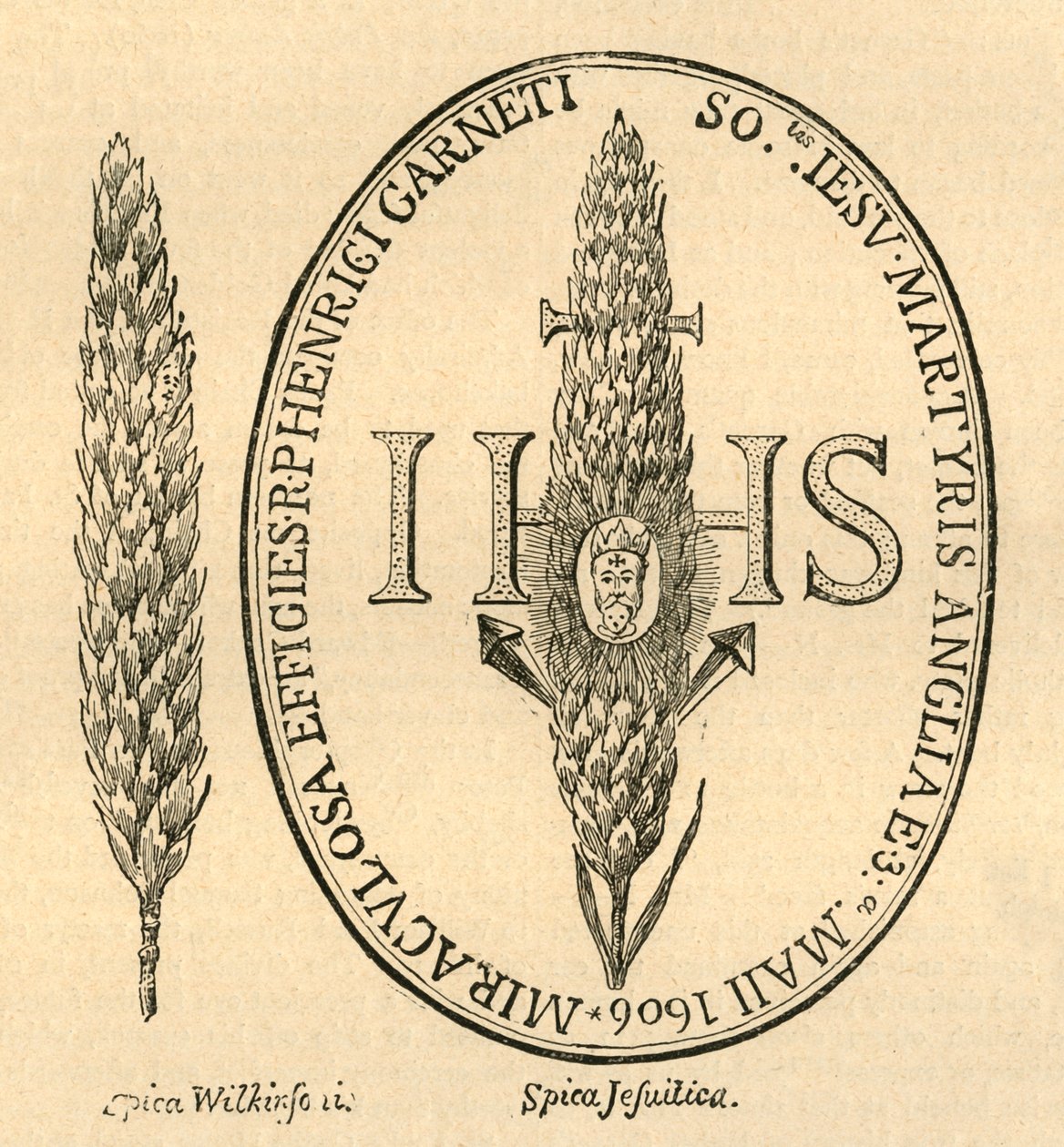 Kasvot oljessa. - Abbots Anthologiasta, 1613, 1897. tekijältä Unbekannt