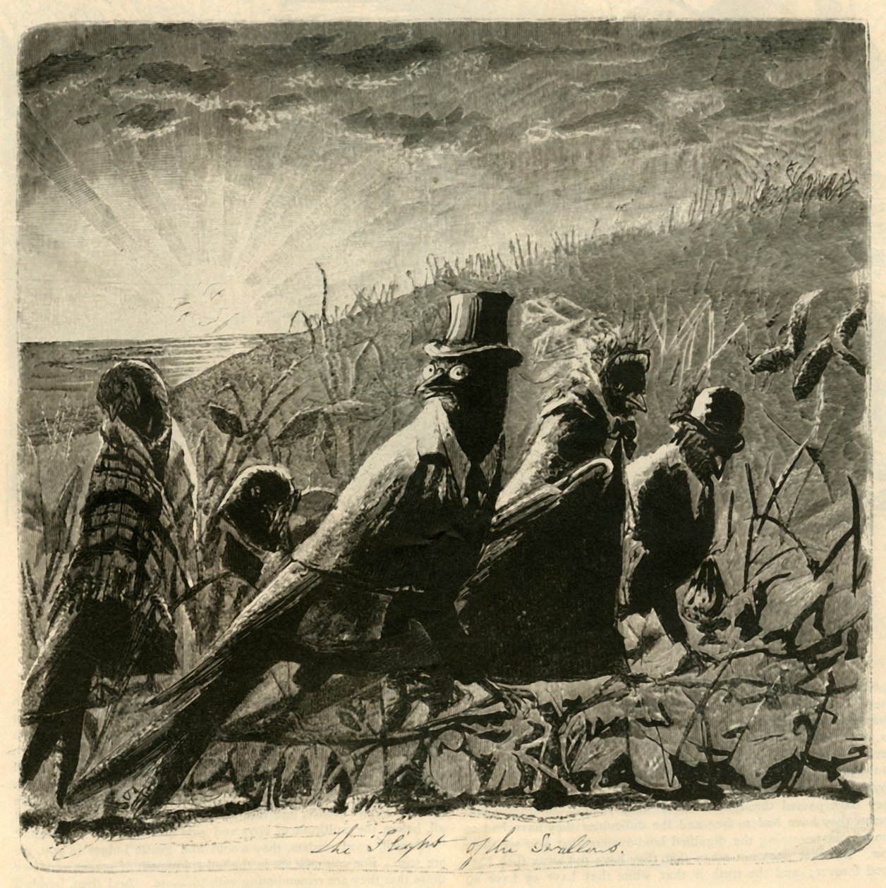 Pääskysten lento, 1882. tekijältä Unbekannt