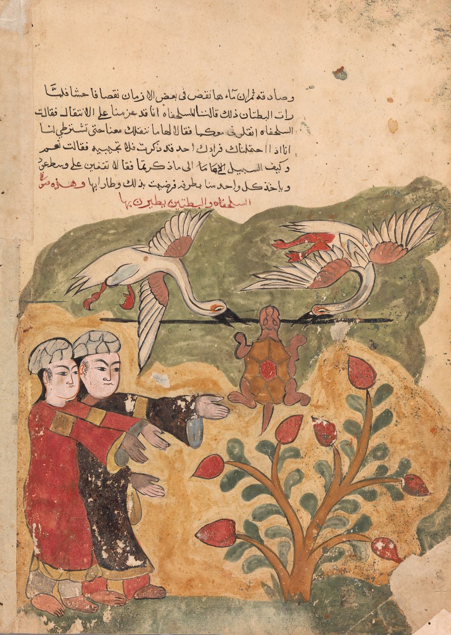 Kilpikonnan lento, Folio Kalila wa Dimnasta, 1700-luku. tekijältä Unbekannt