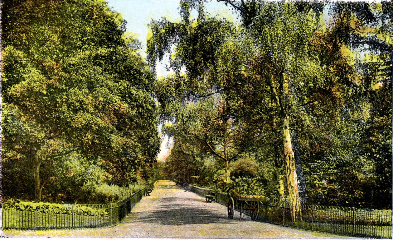 Flower Walk, Kensington Gardens, Lontoo, 1900-luku tekijältä Unbekannt