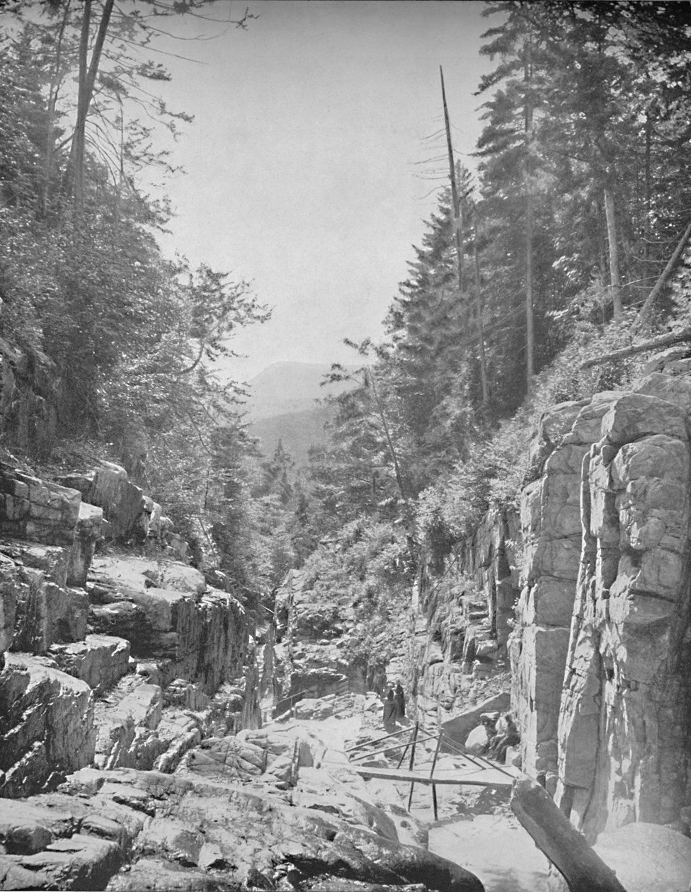 The Flume, Franconia White Mountains, N.H., c1897. tekijältä Unbekannt