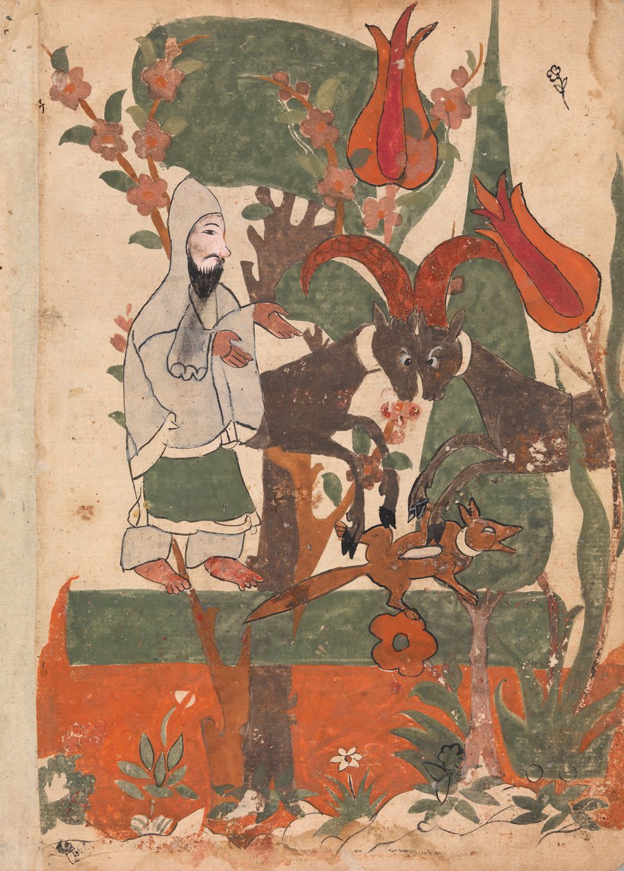Kettu ja taistelevat pässit Askeetin havainnoimina, Folio Kalila wa Dimnasta, 1700-luku. tekijältä Unbekannt