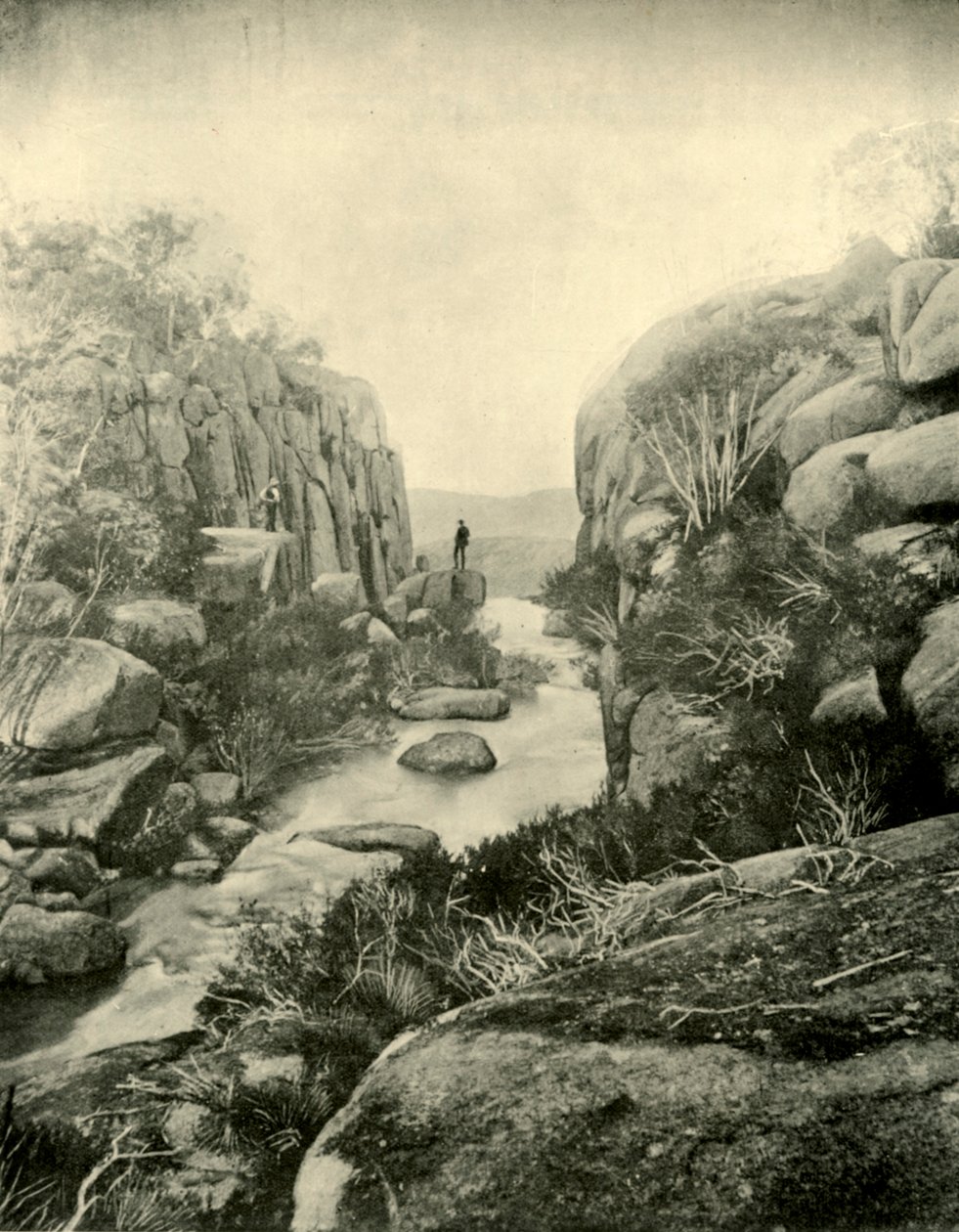 The Gorge, Buffalo Falls, Victorian Alps, 1901. tekijältä Unbekannt