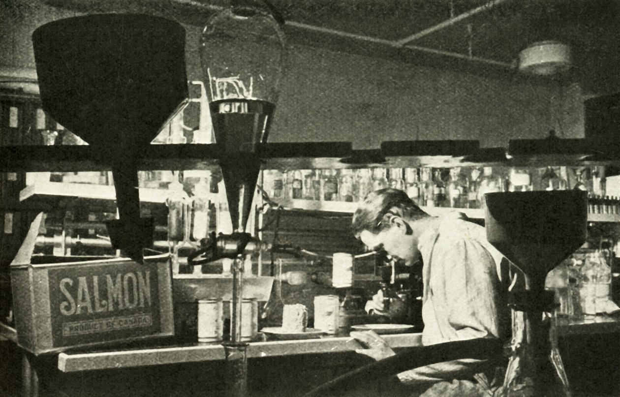 Suuri lohiteollisuus, c1948. tekijältä Unbekannt