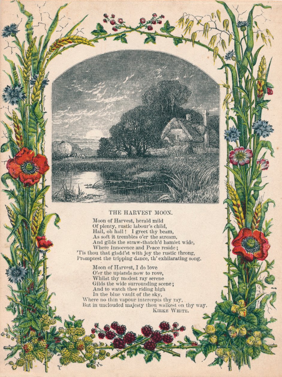 Kirke Whiten The Harvest Moon, c1900 tekijältä Unbekannt