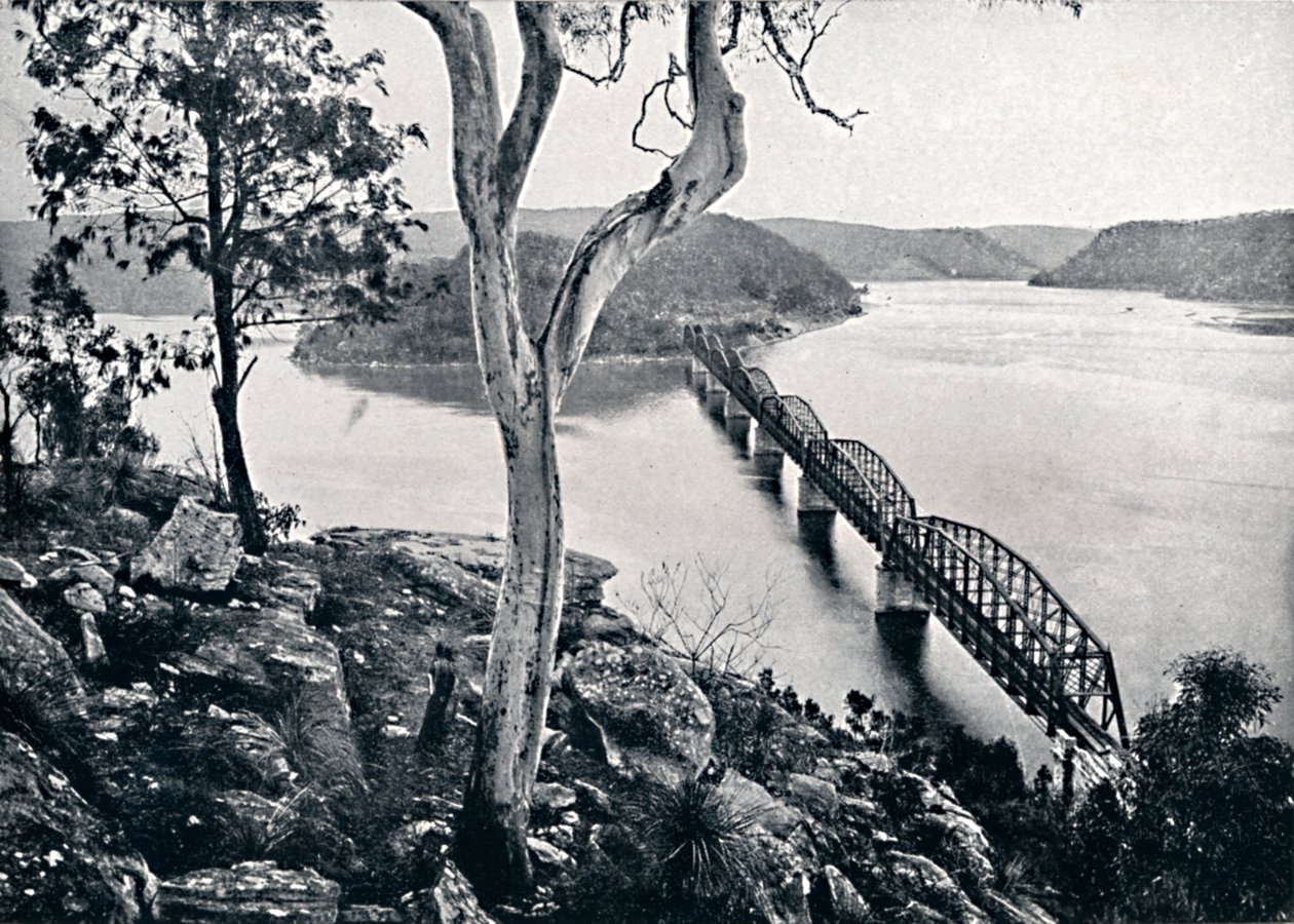 Hawkesbury-joki ja silta, 1900. tekijältä Unbekannt