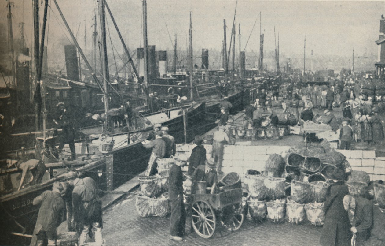 Silakkakausi täydessä vauhdissa, 1937 tekijältä Unbekannt