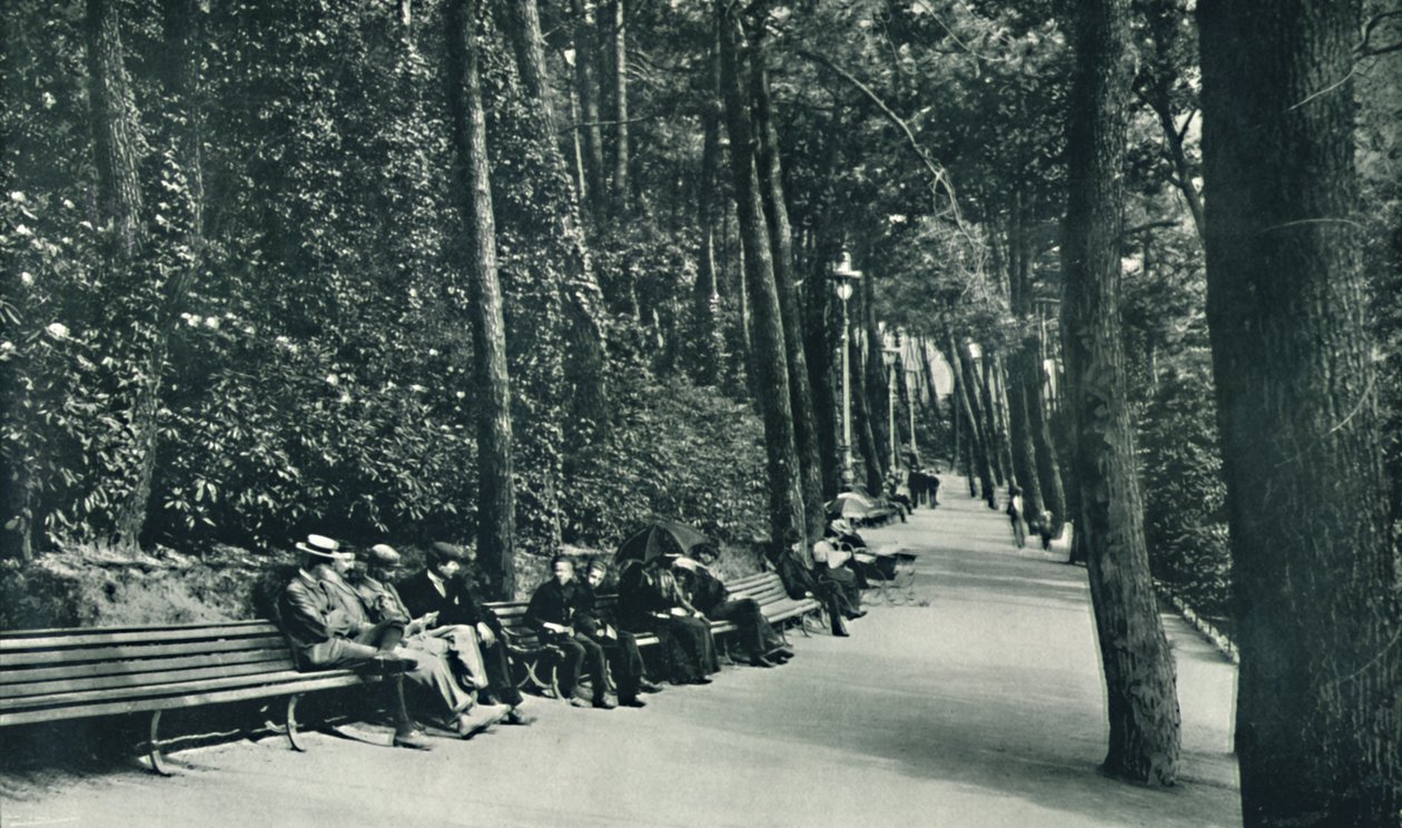 Invalids Walk, c1910 tekijältä Unbekannt