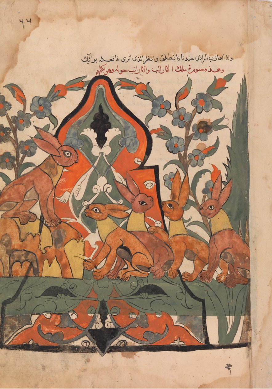 Jäniksen kuningas neuvottelee alamaistensa kanssa, Folio Kalila wa Dimnasta, 1700-luku. tekijältä Unbekannt