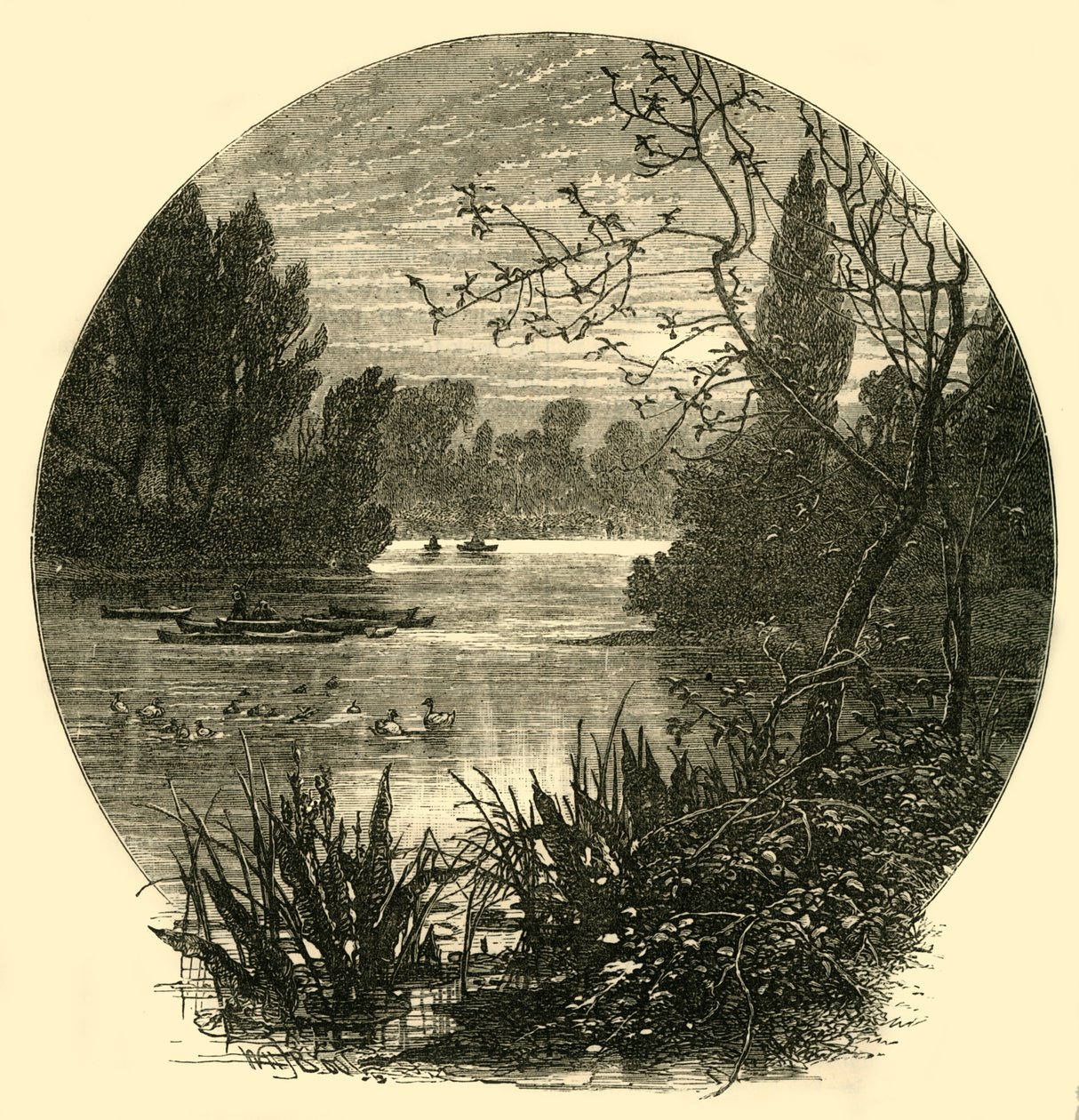 Lake, Battersea Park, 1878. tekijältä Unbekannt