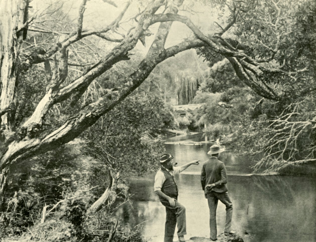 Laukaisupaikka, Upper Yarra, Victoria, 1901. tekijältä Unbekannt