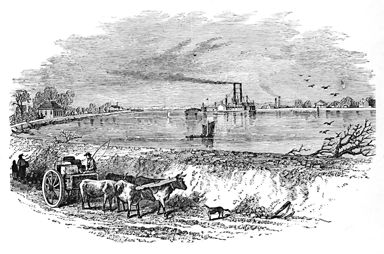 The Levee, 1883 tekijältä Unbekannt