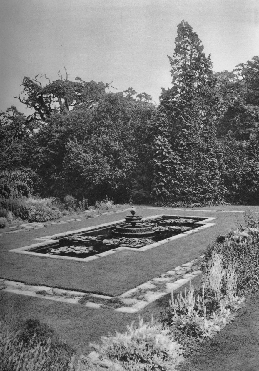 The Lily Basin, The White Lodge, Richmond, 1926 tekijältä Unbekannt