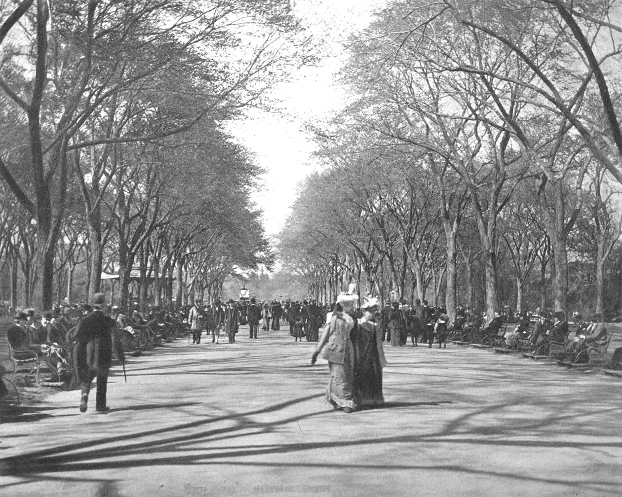 Mall, Central Park, New York, USA, c1900. tekijältä Unbekannt