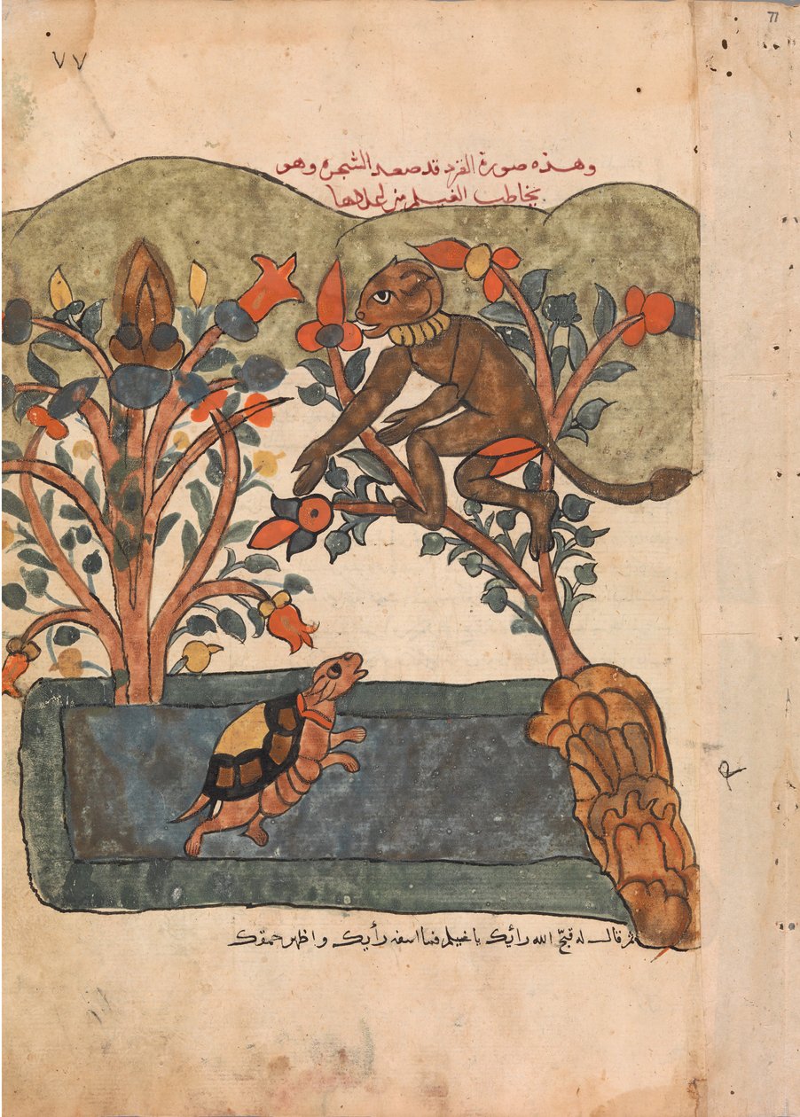 Apina pakenee viikunapuun turvaan, Folio Kalila wa Dimnasta, 1700-luku. tekijältä Unbekannt