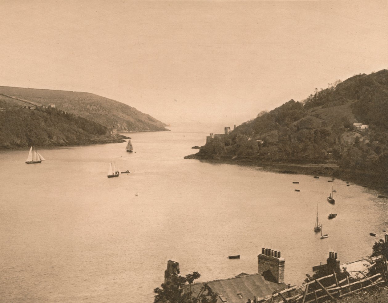 Tikan suu, 1902 tekijältä Unbekannt