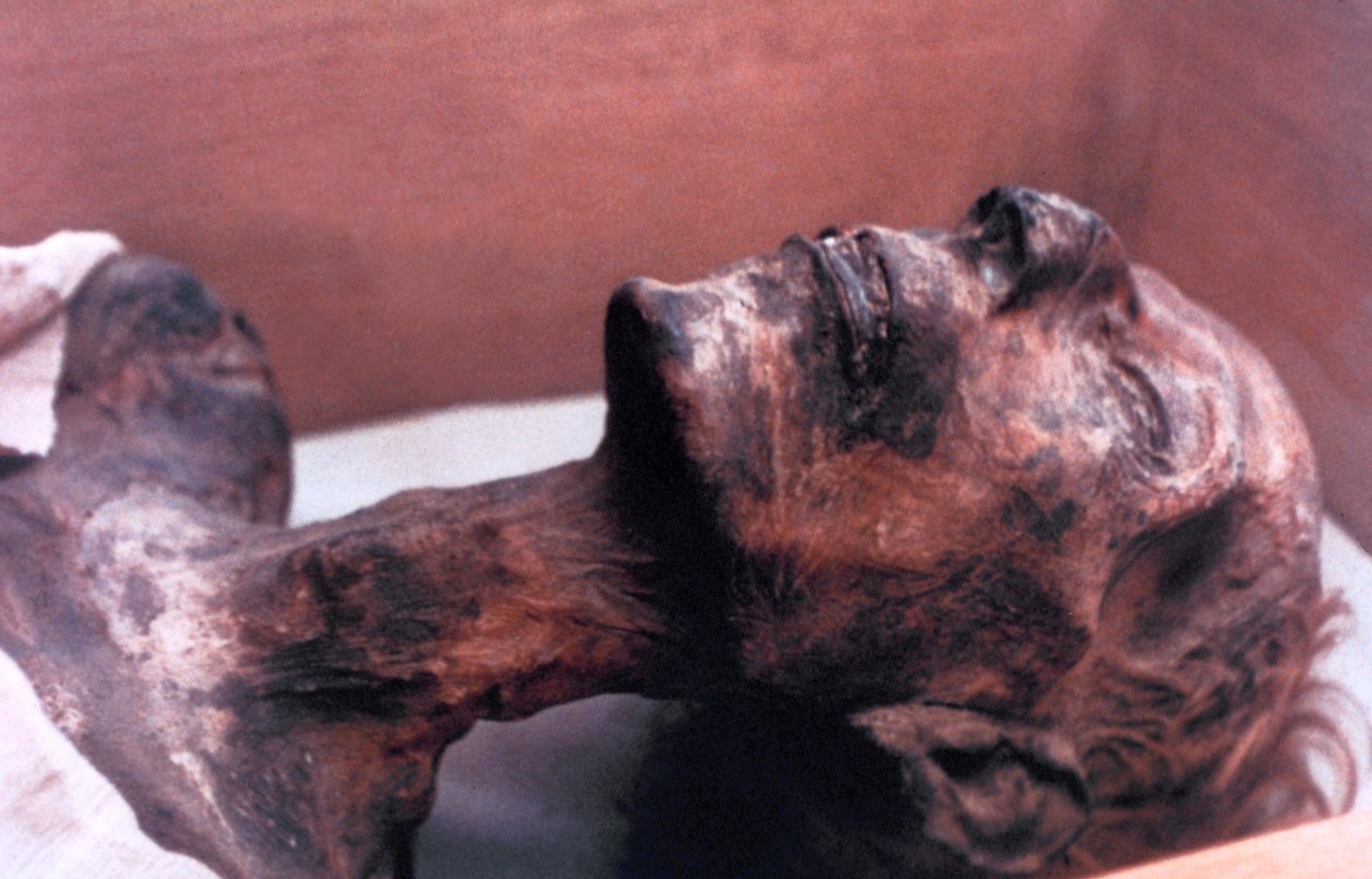 Ramses II:n muumio, Egypti, 1213 eaa tekijältä Unbekannt