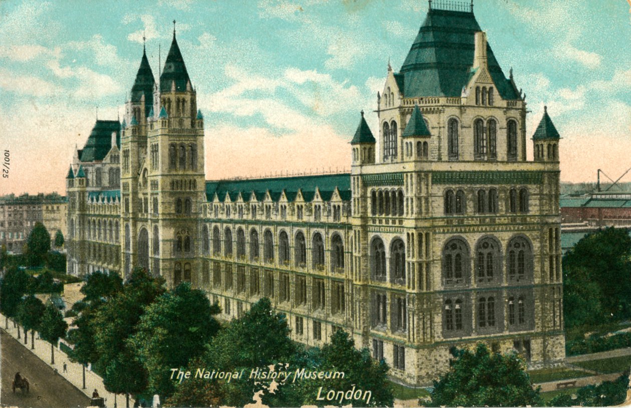 National History Museum, Lontoo, vuonna 1910. tekijältä Unbekannt