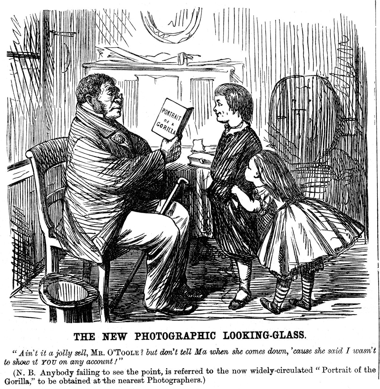 The New Photographic Looking Glass, sarjakuva Punchista, jokapäiväinen todiste miehen alkuperästä, 1861 tekijältä Unbekannt