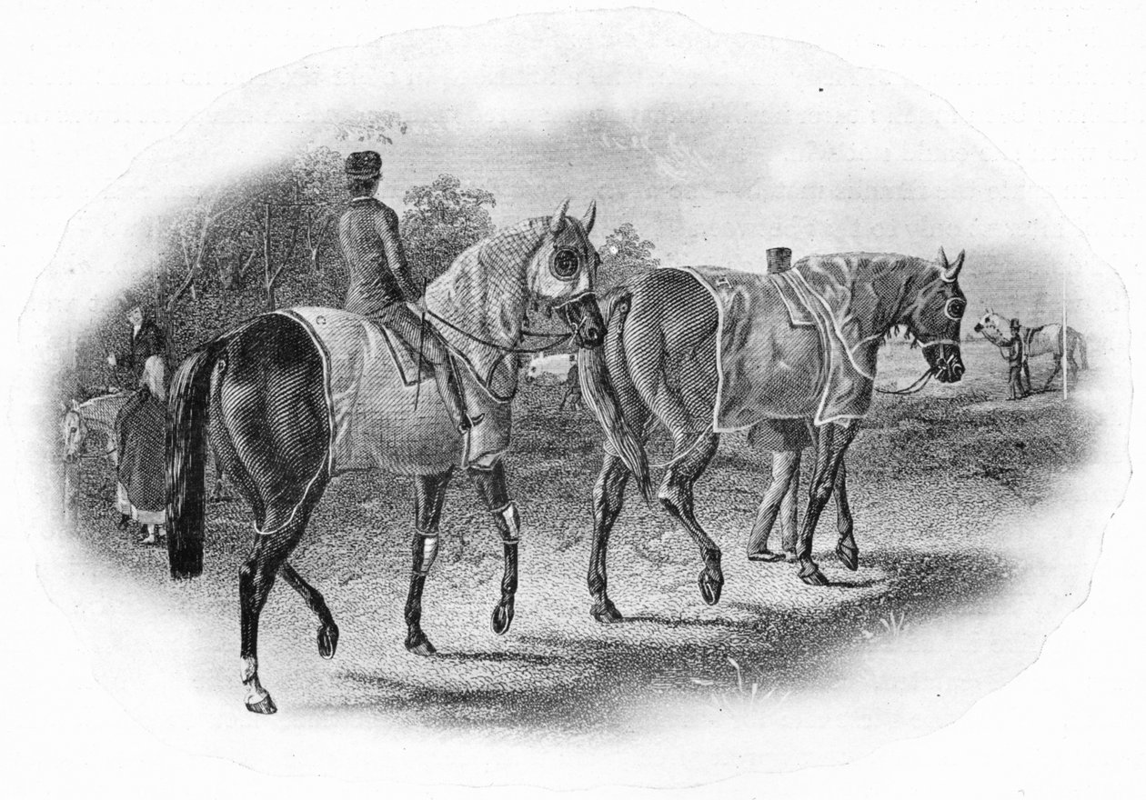 Seuraava rotu, 1800-luku, 1911 tekijältä Unbekannt