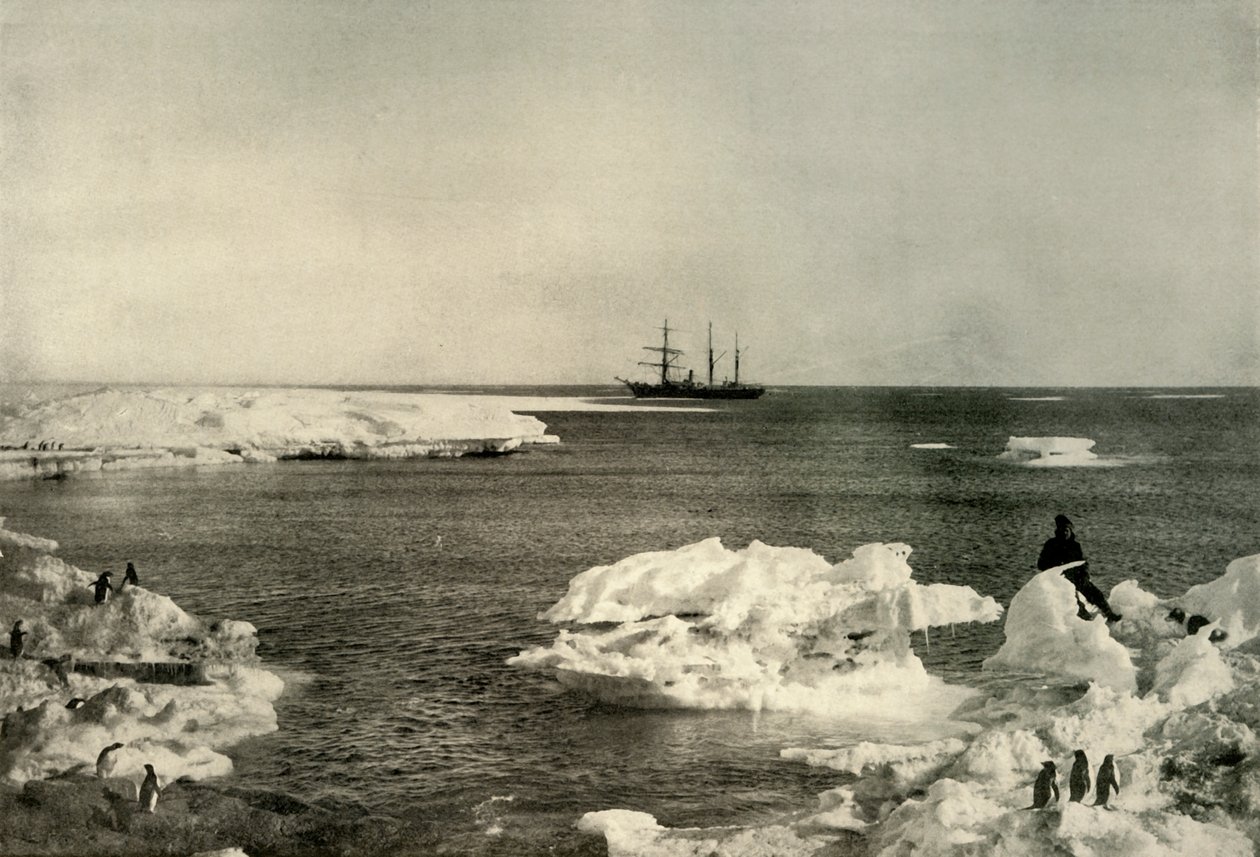 Nimrod makaamassa pingviinivartijasta, c1908, 1909. tekijältä Unbekannt