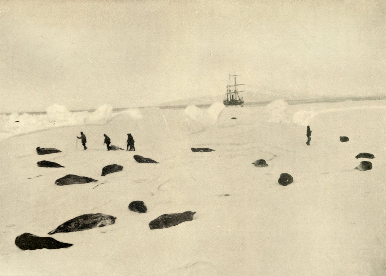 Nimrod Pram Pointissa 4. maaliskuuta 1909 tekijältä Unbekannt