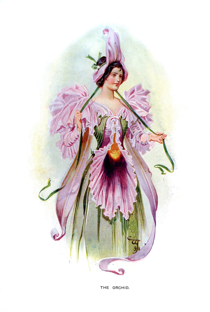 Orkidea, 1899 tekijältä Unbekannt