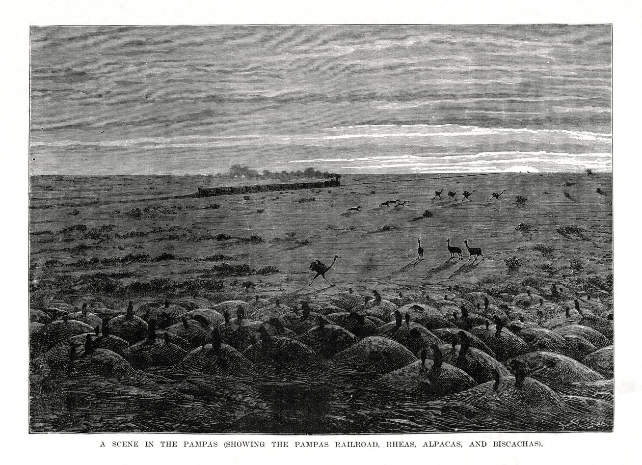 Pampas-rautatie, Etelä-Amerikan alamaat, 1877 tekijältä Unbekannt
