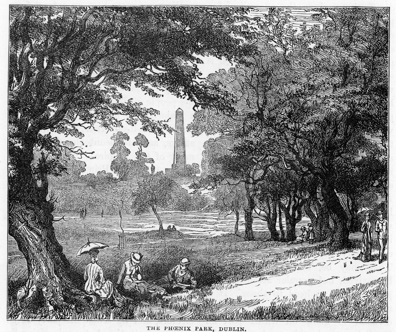 Phoenix Park, Dublin, 1800-luku tekijältä Unbekannt