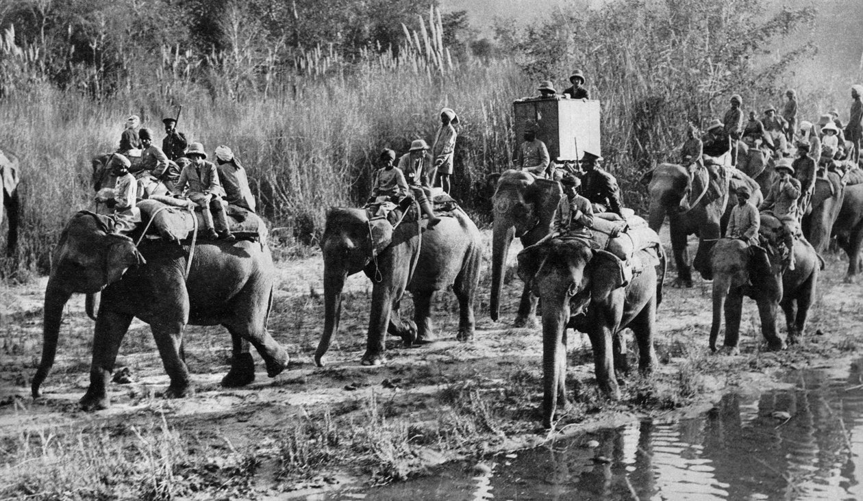 Walesin prinssi tiikerin ammunta Intiassa, 1921 tekijältä Unbekannt