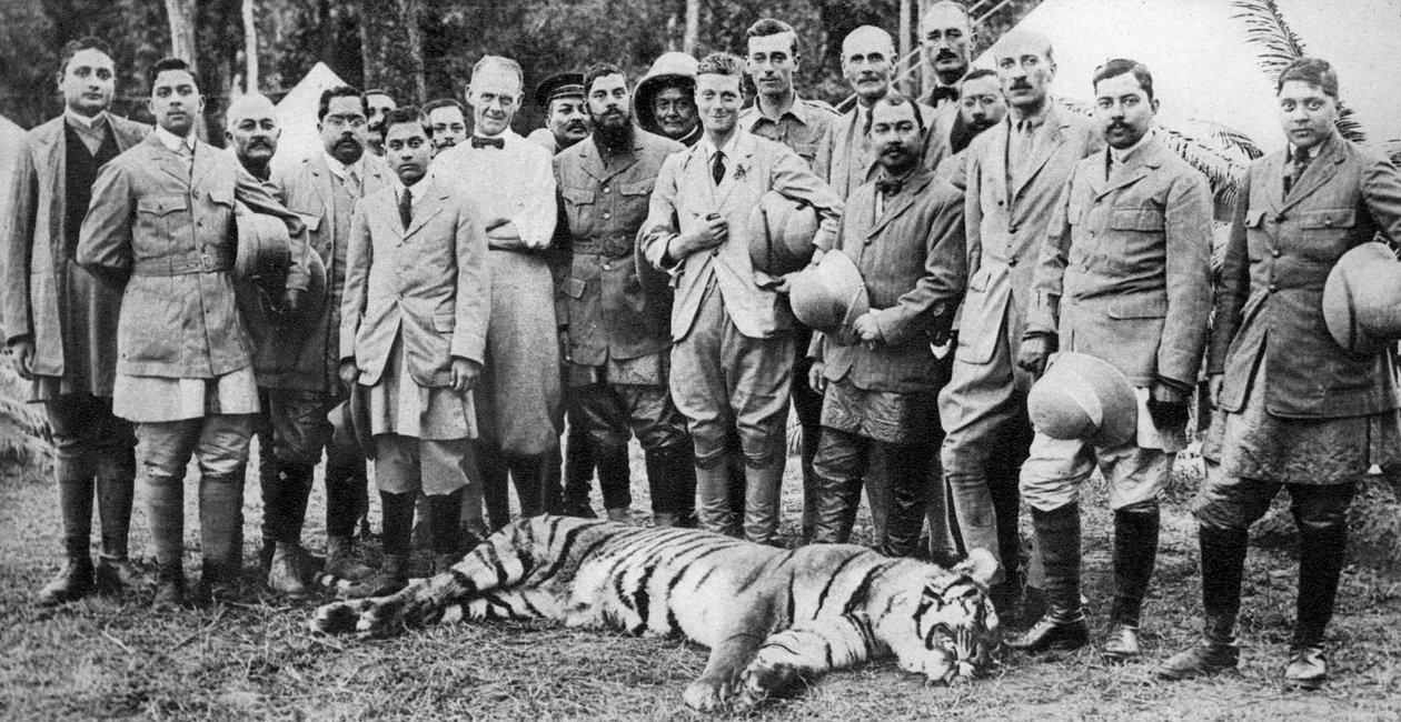 Walesin prinssi tiikerin ammunta Nepalissa, Intian kiertue, 1921 tekijältä Unbekannt