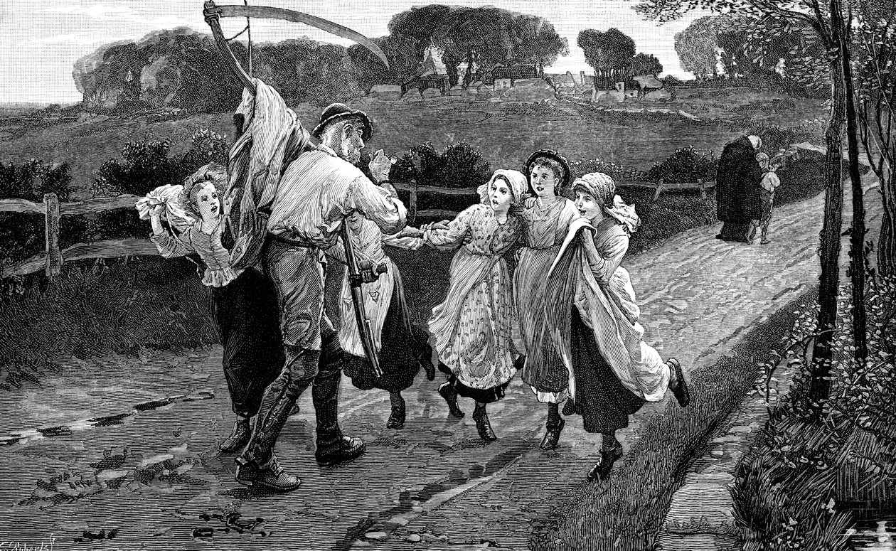 Viikatemies ja kukat, 1882 tekijältä Unbekannt