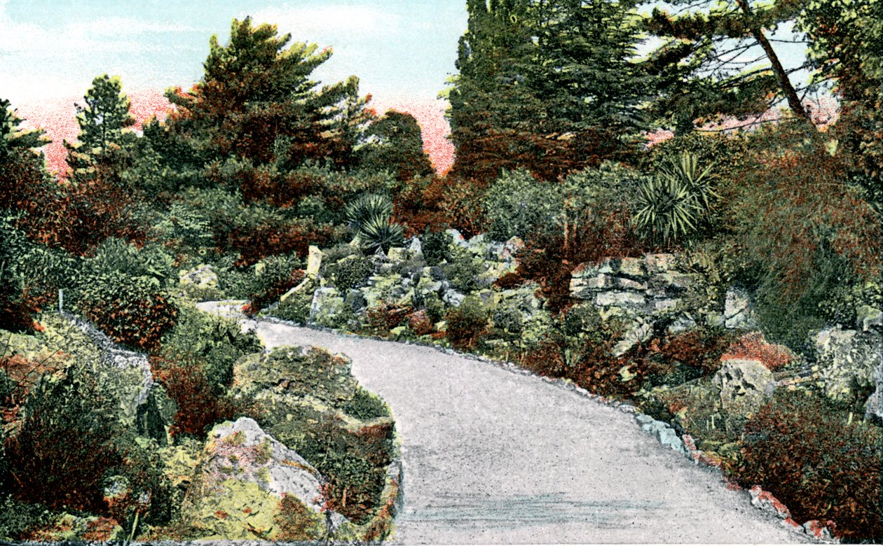 Rockery, Kew Gardens, Richmond upon Thames, Lontoo, 1900-luku tekijältä Unbekannt