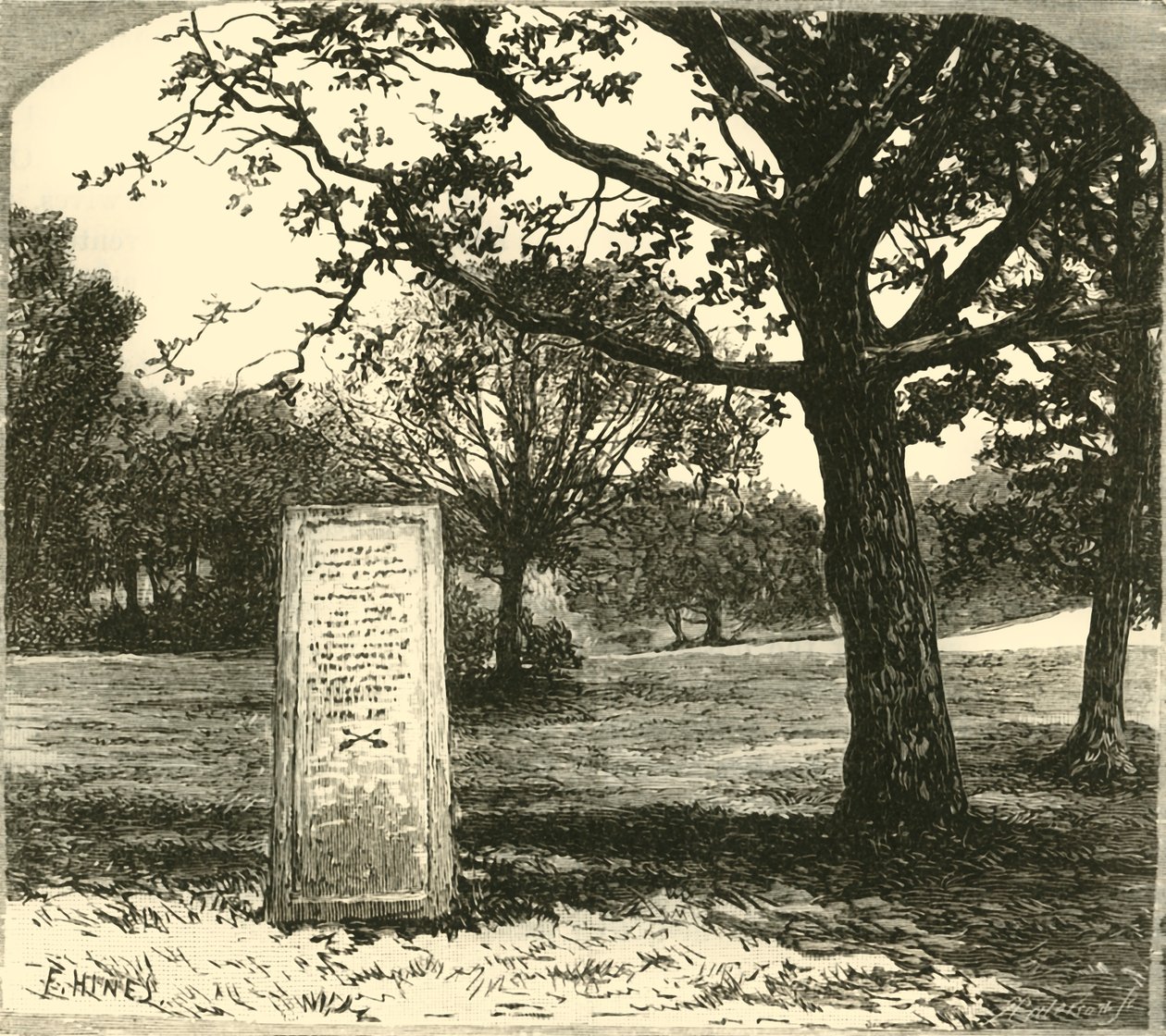 Rufus-kivi uudessa metsässä, 1890. tekijältä Unbekannt
