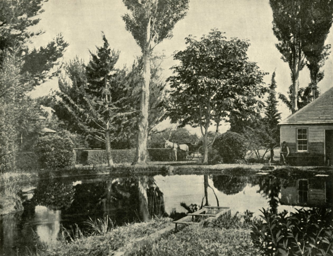 The Salmon Ponds, New Norfolk, 1901. tekijältä Unbekannt